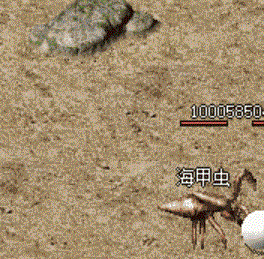 海甲虫.gif