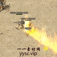 传奇魔法素材：29