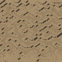 RR553