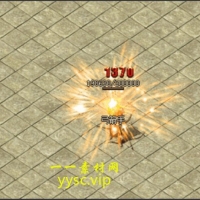 技能55
