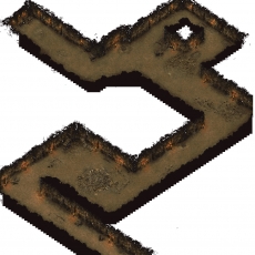 精36
