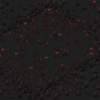 RR554