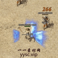 传奇魔法素材：25